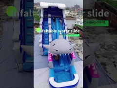 OEM opblaasbare waterglijbaan 0,55mm PVC kinderwaterpark glijbaan met zwembad