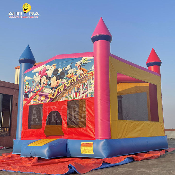 Outdoor commercieel opblaasbare uitsmijter PVC kleurrijke volwassen kinderen springkasteel