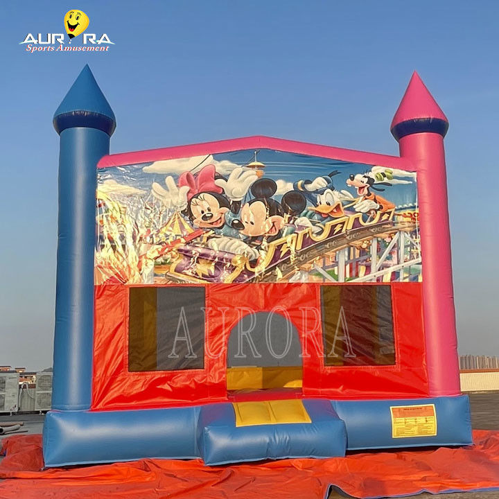 Outdoor commercieel opblaasbare uitsmijter PVC kleurrijke volwassen kinderen springkasteel