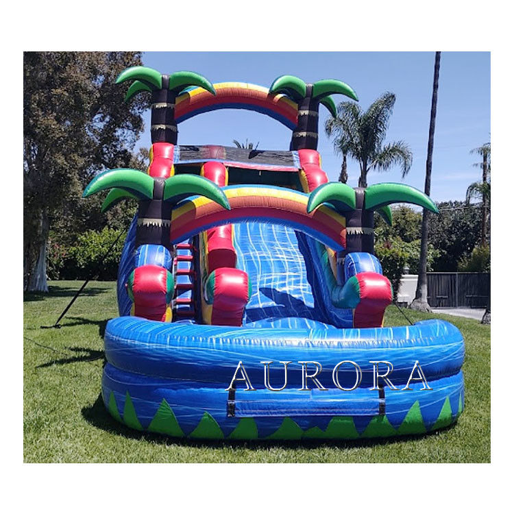 Bouncy Giant opblaasbare waterglijbaan voor volwassenen natte droog zwembad waterglijbaan 18ft