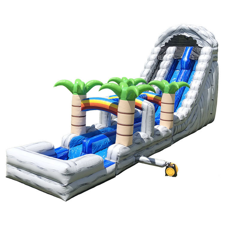 Wateropblaasbare glijbaan Springglijbaan Pvc 18ft Dolphin Waterglijbaan Voor zwembad